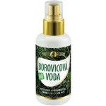 Purity Vision Bio Borovicová voda 100 ml – Hledejceny.cz