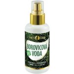 Purity Vision Bio Borovicová voda 100 ml – Zbozi.Blesk.cz