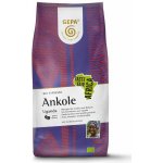 Gepa Espresso Ankole Bio zrnková 1 kg – Hledejceny.cz