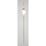 EXPERT splávek pevný 6g 24cm – Zboží Dáma