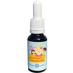 Bachovy esence Noví kamarádi směs 20 ml – Hledejceny.cz