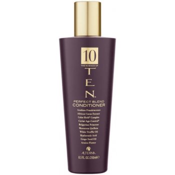 Alterna Ten Perfect Blend Conditioner 250 ml