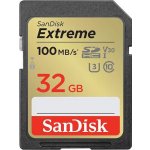 sanDisk SDHC UHS-I U3 32 GB SDSDXVT-032G-GNCIN – Zboží Mobilmania