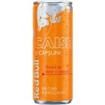 Red Bull Caise Si Căpșuni 250 ml – Zboží Dáma