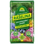 Forestina Rašelina 60 l – Zboží Dáma