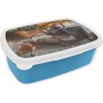 MuchoWow® Lunchbox Lunchbox 17x11 cm Čaj - konvička - bylinky Dětský box na svačinu - oběd - plastový - plechovka na chleba - sendvičový box - box na oběd pro děti – Zboží Mobilmania