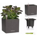 Lechuza Canto Stone Square 14 Graphite komplet – Zboží Mobilmania