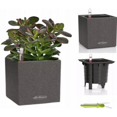 Lechuza Canto Stone Square 14 Graphite komplet – Zboží Mobilmania