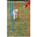 Trixie agility slalom tyče 12ks 115 cm – Sleviste.cz