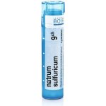 NATRUM SULFURICUM POR 9CH GRA 4G – Hledejceny.cz