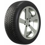 Bridgestone Weather Control A005 Evo Driveguard 225/45 R17 94W Runflat – Hledejceny.cz