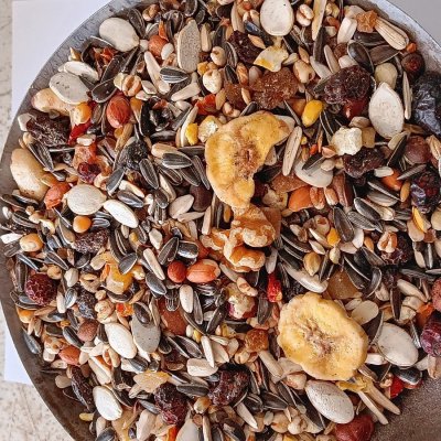 Versele-Laga Prestige Exotic Fruit Mix 15 kg – Zboží Mobilmania