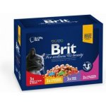 Brit Premium Cat Family Plate 12 x 100 g – Sleviste.cz