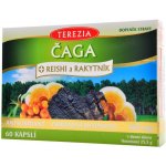 Čaga Reishi Rakytník antioxidant 60 kapslí – Hledejceny.cz