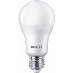 Philips LED žárovka E27, 13W/100W, A60, 3000K 1521lm P169173 – Hledejceny.cz