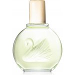 Gloria Vanderbilt Jardin a New York parfémovaná voda dámská 100 ml – Hledejceny.cz