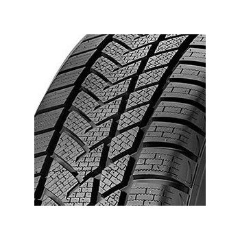 Pneumatiky Sunny NW211 315/35 R20 110V