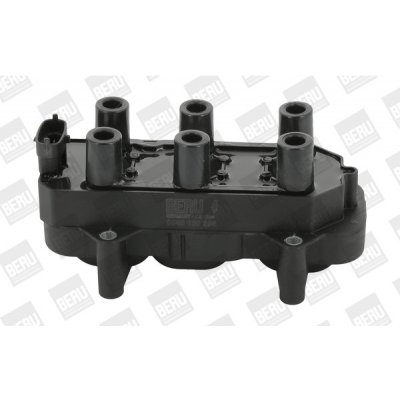 Zapalovací cívka BorgWarner (BERU) ZS306 – Hledejceny.cz