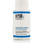 Čisticí šampon pro každodenní použití K18 Damage Shield pH Protecting Shampoo 250 ml – Zboží Mobilmania