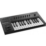 Native Instruments KOMPLETE KONTROL A25 – Zbozi.Blesk.cz