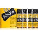 Proraso Wood and Spice Hot Beard Treatment Oil olej na vousy 5x 7 ml – Zboží Dáma