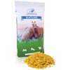 Krmivo a vitamíny pro koně ENERGYS HORSE Vločkovaná kukuřice pro koně Cornflakes 15 kg