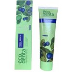 Ecodenta Fresh Breath Blueberry 100 ml – Hledejceny.cz