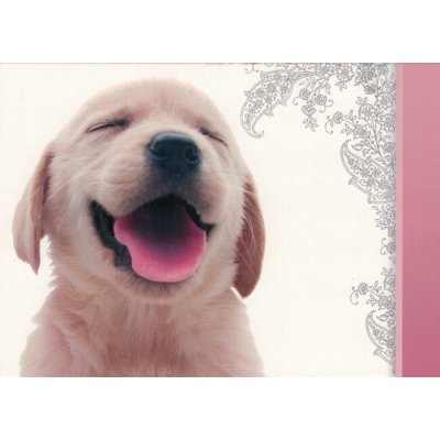 Pohlednice Štěně 131 – Sleviste.cz