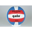 Gala Pro-Line Mini BV 4051 S