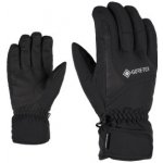 Ziener Garwen GTX black 22/23 – Hledejceny.cz