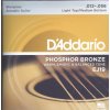 D'addario EJ19