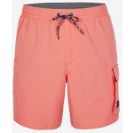 O'Neill All day 17'' Hybrid short – Zboží Dáma