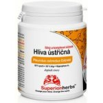 Superionherbs NAD+ BOOSTER Nikotinamid Ribosid NR Komplex 90 kapslí – Hledejceny.cz