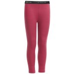 Icebreaker Kids Compass Leggings – Zboží Dáma