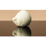 Bakels Bílá ganache s vanilkovou příchutí 0,5 kg – Zboží Dáma