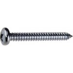 Šroub do plechu půlkulatá hlava 4,2x19 PH, zinek bílý, 500ks – Hledejceny.cz