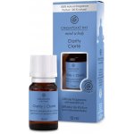 Chesapeake Bay Aroma olej Clarity 10 ml – Hledejceny.cz