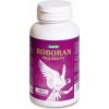 Vitamíny a doplňky stravy pro ptáky Univit Roboran EX 100 g