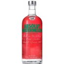 Absolut Watermelon 38% 0,7 l (holá láhev)