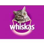 Whiskas pro dospělé kočky klasický výběr ve šťávě 12 x 100 g – Hledejceny.cz