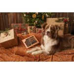 Fitmin Purity Snax Vánoční bonboniéra pro psy 500 g – Zbozi.Blesk.cz