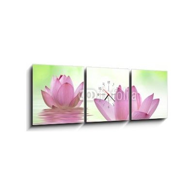 Obraz s hodinami 3D třídílný - 150 x 50 cm - ččŠ sacred lotus lotus lotus kvést