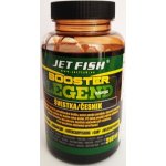 Jet Fish Legend Range booster Švestka / Česnek 250 ml – Zboží Dáma