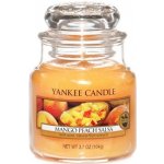 Yankee Candle Mango Peach Salsa 104 g – Hledejceny.cz