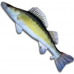 Gaby polštářek ryba Candát obecný 77 cm – Zboží Dáma