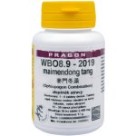 WBO8.9-2019 maimendong tang 36 tablet Pragon – Hledejceny.cz