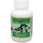 Australian Remedy Ginkgo 2500 100 kapslí – Hledejceny.cz