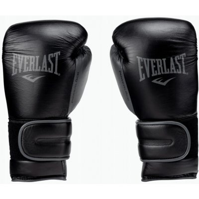 Everlast POWERLOCK 2R LEATHER – Sleviste.cz