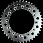 JT Sprockets JTR 245/2-42 | Zboží Auto