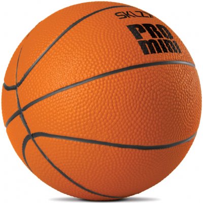 SKLZ Pro Mini Hoop – Zboží Dáma